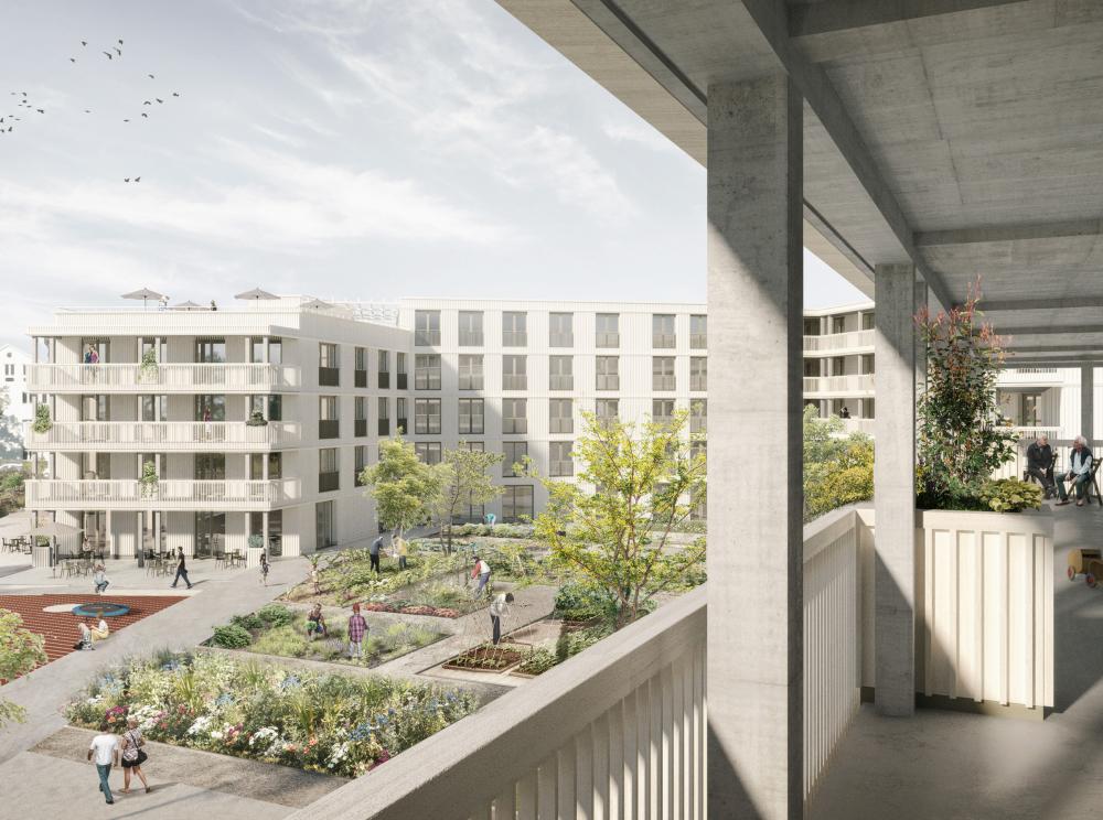 Mutachstrasse Ausblick