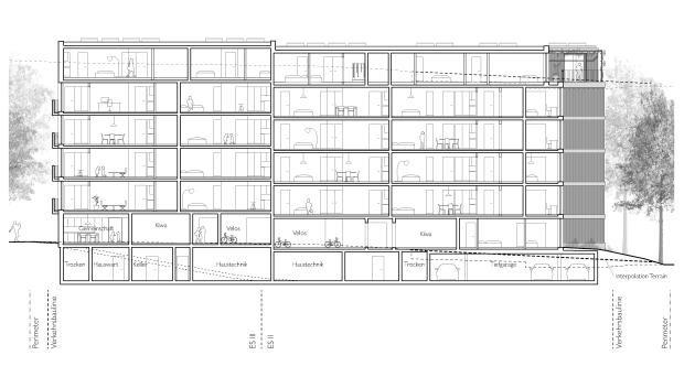 182 Laengsschnitt neu