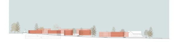 coupe chemin du moulin